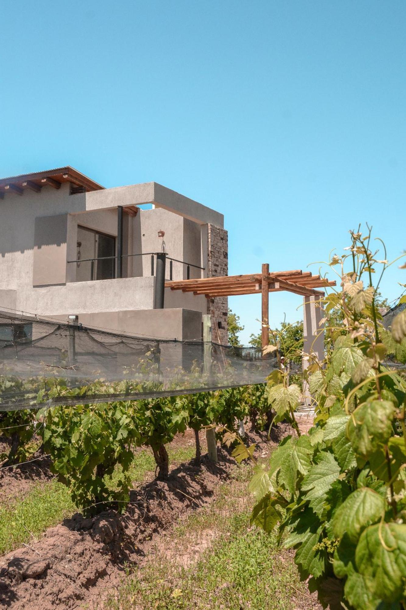 Agrelo Vines Lodge Экстерьер фото
